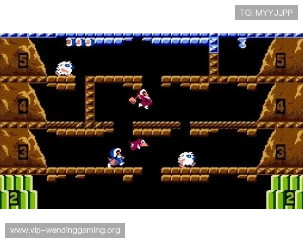 问鼎电子游戏官网入口地址大全，便捷快速的登录指南详解